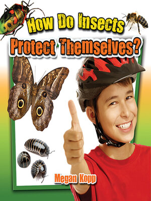 cover image of How Do Insects Protect Themselves?